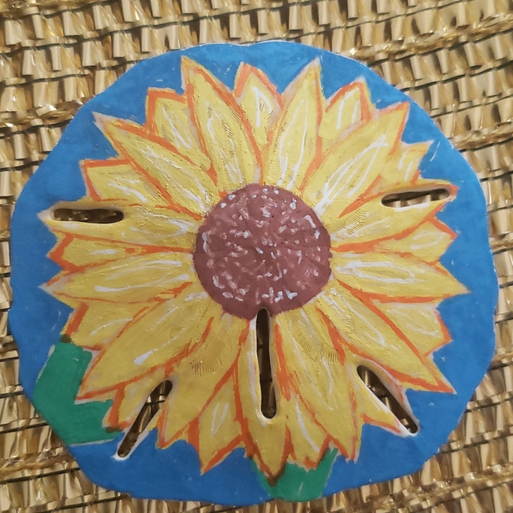 Painted sand dollar
